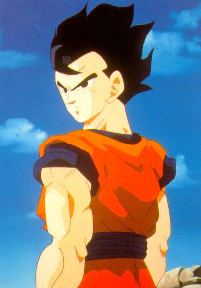 gohan7.jpg